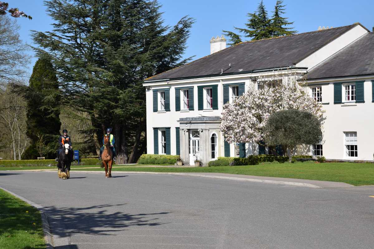 Front of school with ponys